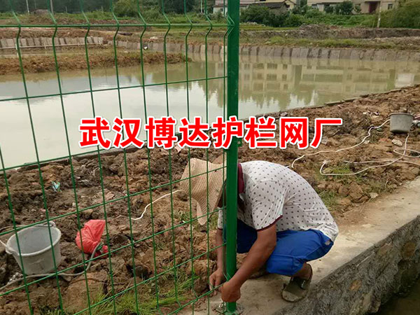 江西井岡市池塘安全矮式隔離欄安裝現場(chǎng)